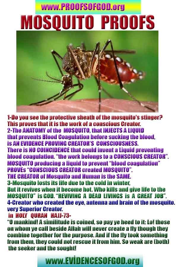 proofs of god, proofs-god, evidences of god, evidences-god, signs of god, signs-god, god exists proofs, what are proofs of god?,, signs-god, god exists, god is real