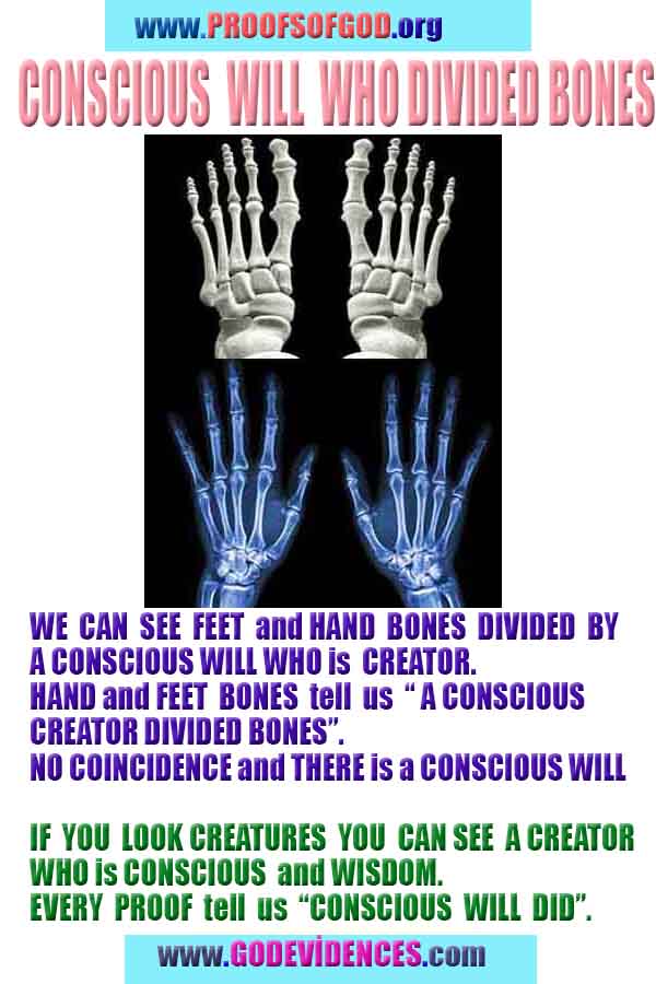 proofs of god, proofs-god, evidences of god, evidences-god, signs of god, signs-god, god exists proofs, what are proofs of god?,, signs-god, god exists here proofs