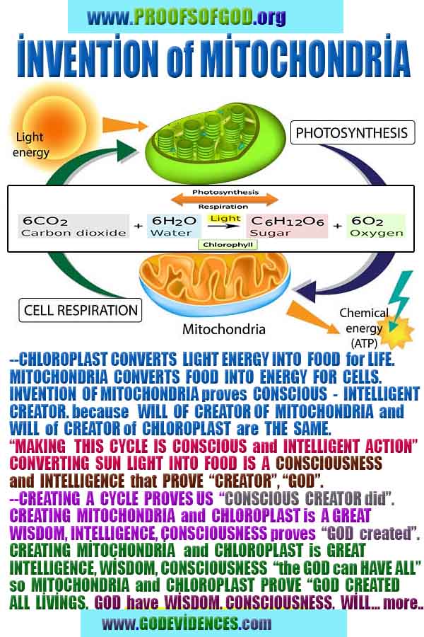 proofs of god, proofs-god, evidences of god, evidences-god, signs of god, signs-god, god exists proofs, what are proofs of god?,, signs-god