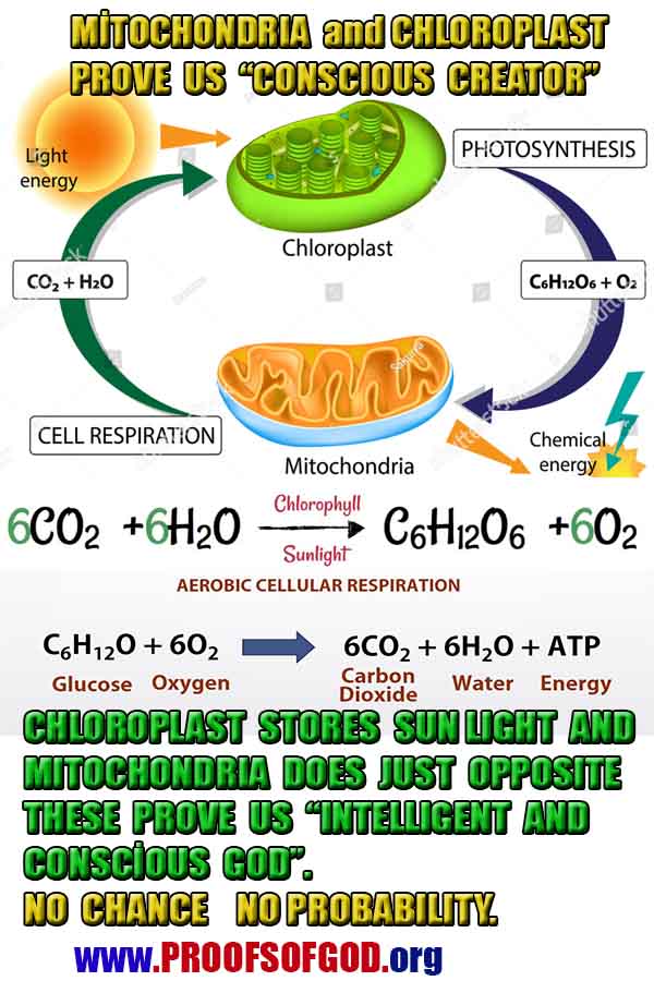 proofs of god, proofs-god, evidences of god, evidences-god, signs of god, signs-god, god exists proofs, what are proofs of god?,