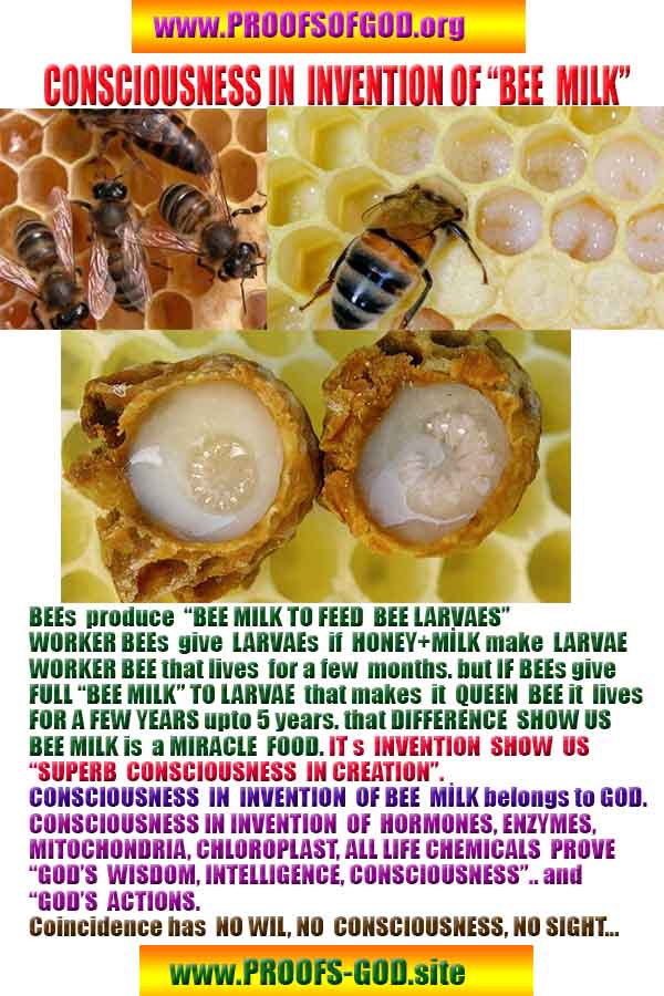 proofs of god, proofs-god, evidences of god, evidences-god, signs of god, signs-god, god exists proofs, what are proofs of god?,, signs-god, god exists