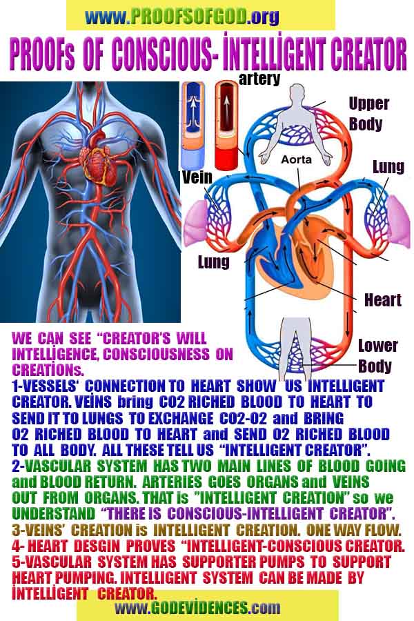 proofs of god, proofs-god, evidences of god, evidences-god, signs of god, signs-god, god exists proofs, what are proofs of god?,, signs-god, god exists
