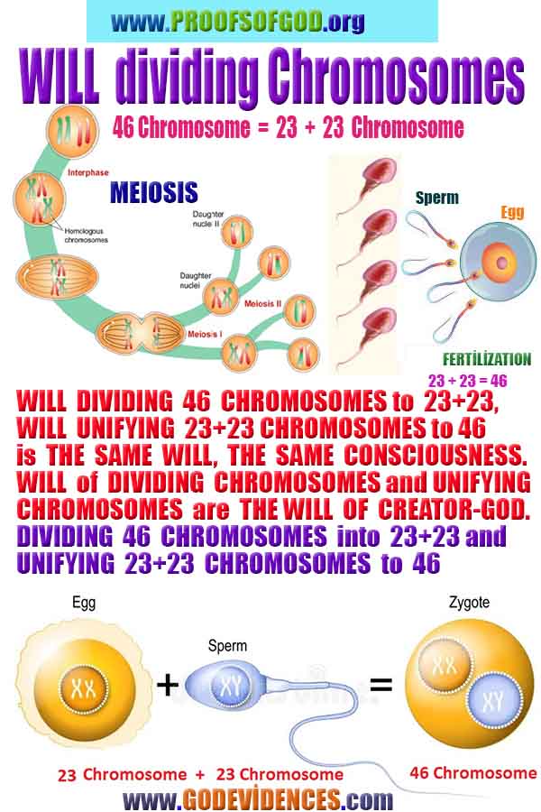 proofs of god, proofs-god, evidences of god, evidences-god, signs of god, signs-god, god exists proofs, what are proofs of god?,, signs-god, god exists