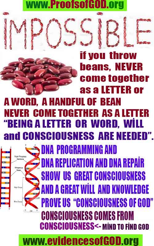 proofs of god, proofs-god, evidences of god, evidences-god, signs of god, signs-god, god exists proofs, what are proofs of god?,, signs-god, god exists here proofs