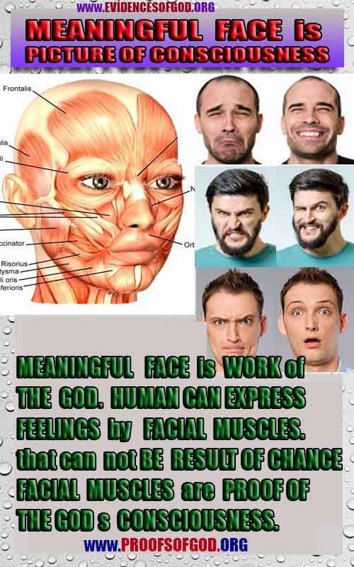 proofs of god, proofs-god, evidences of god, evidences-god, signs of god, signs-god, god exists proofs, what are proofs of god?,, signs-god, god exists here proofs