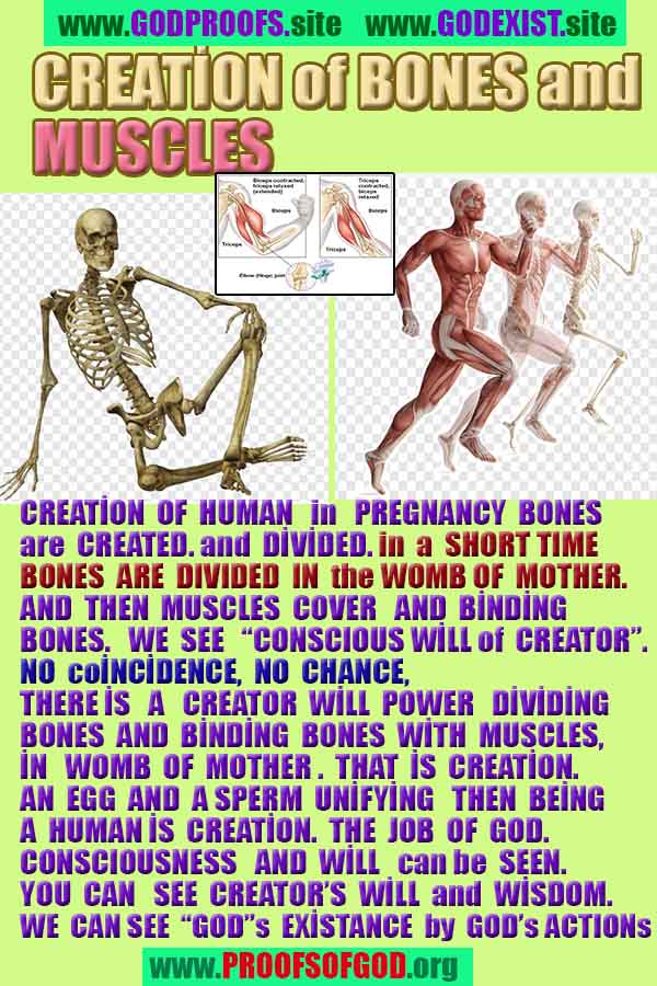 proofs of god, proofs-god, evidences of god, evidences-god, signs of god, signs-god, god exists proofs, what are proofs of god?,, signs-god, god exists, god is real