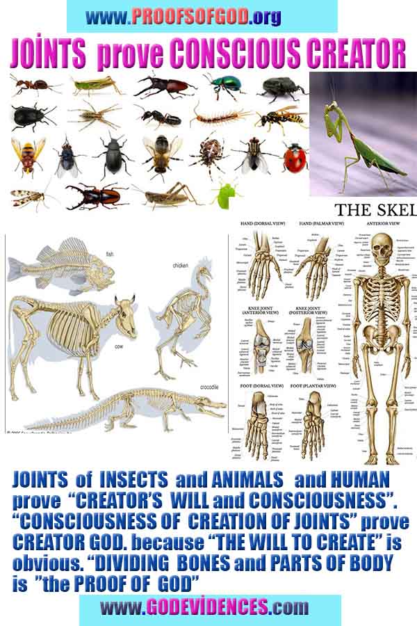 proofs of god, proofs-god, evidences of god, evidences-god, signs of god, signs-god, god exists proofs, what are proofs of god?,, signs-god