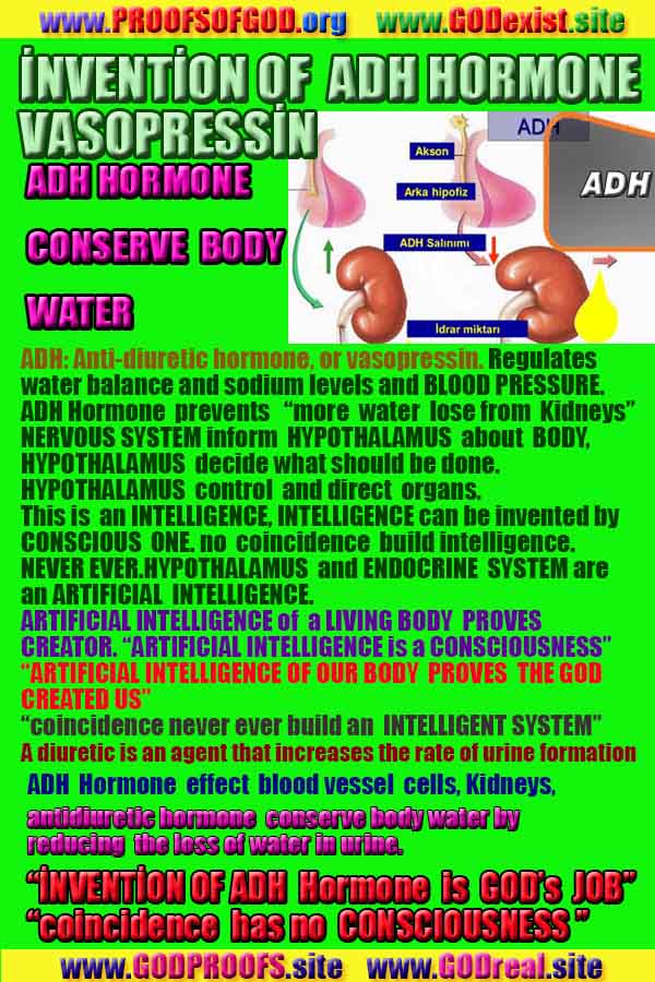 proofs of god, proofs-god, evidences of god, evidences-god, signs of god, signs-god, god exists proofs, what are proofs of god?,, signs-god, god exists, god is real