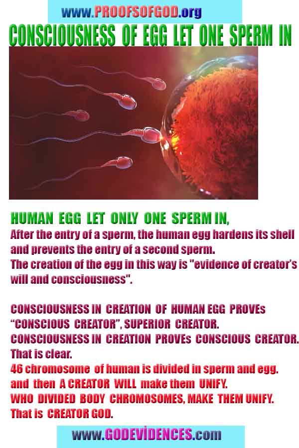 proofs of god, proofs-god, evidences of god, evidences-god, signs of god, signs-god, god exists proofs, what are proofs of god?,, signs-god