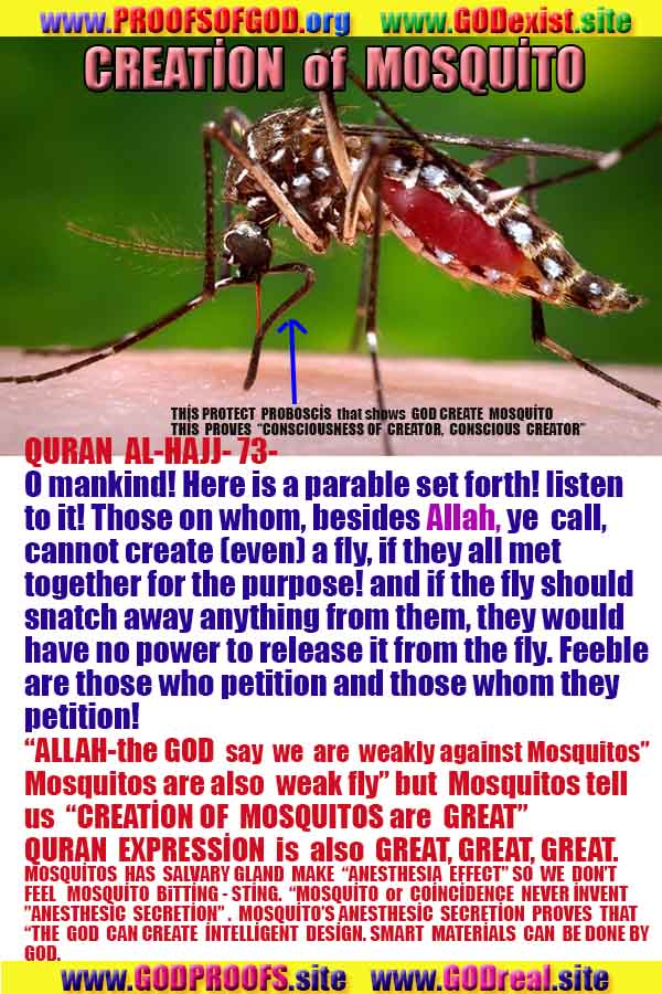 proofs of god, proofs-god, evidences of god, evidences-god, signs of god, signs-god, god exists proofs, what are proofs of god?,, signs-god