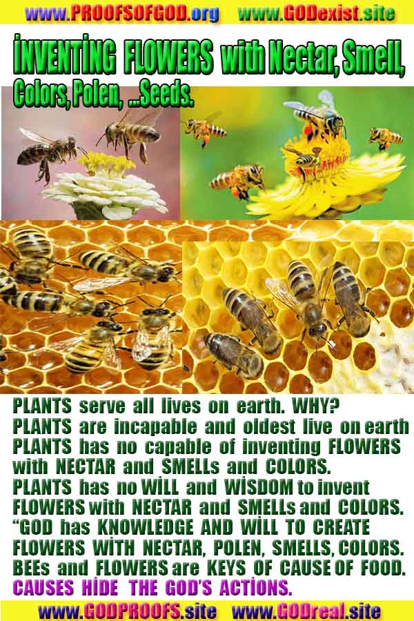 proofs of god, proofs-god, evidences of god, evidences-god, signs of god, signs-god, god exists proofs, what are proofs of god?,