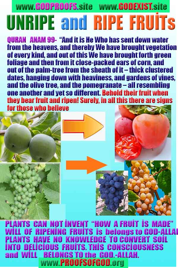 proofs of god, proofs-god, evidences of god, evidences-god, signs of god, signs-god, god exists proofs, what are proofs of god?,, signs-god