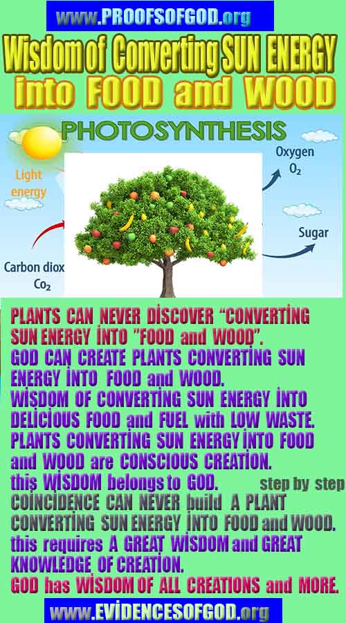 proofs of god, proofs-god, evidences of god, evidences-god, signs of god, signs-god, god exists proofs, what are proofs of god?,, signs-god, god exists