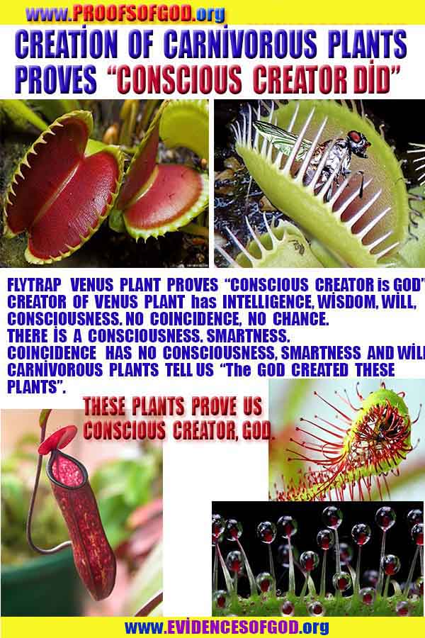 proofs of god, proofs-god, evidences of god, evidences-god, signs of god, signs-god, god exists proofs, what are proofs of god?,