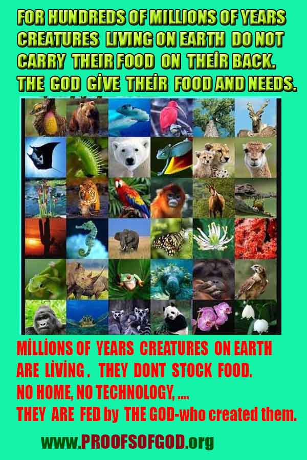 proofs of god, proofs-god, evidences of god, evidences-god, signs of god, signs-god, god exists proofs, what are proofs of god?,, signs-god, god exists