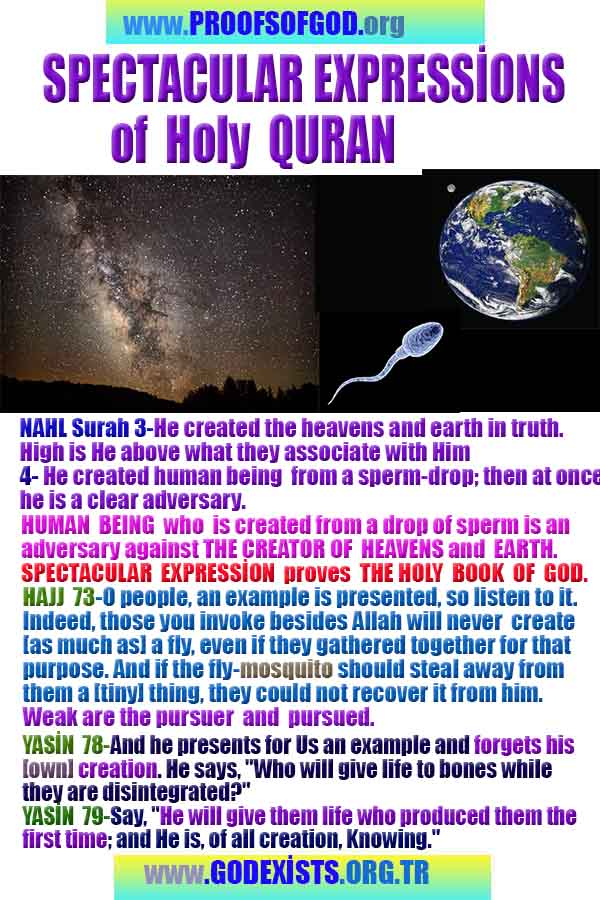 proofs of god, proofs-god, evidences of god, evidences-god, signs of god, signs-god, god exists proofs, what are proofs of god?,, signs-god, god exists