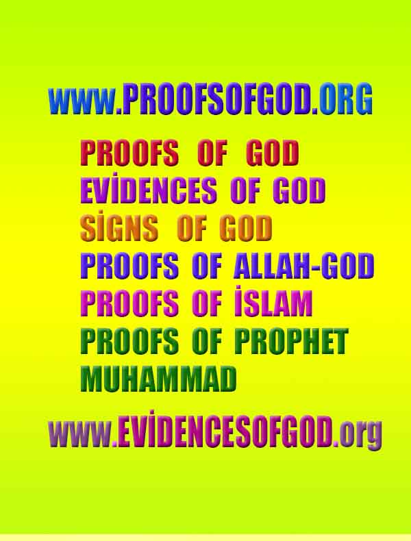 proofs of god, proofs-god, evidences of god, evidences-god, signs of god, signs-god, god exists proofs, what are proofs of god?,, signs-god