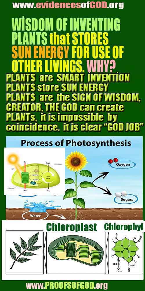 proofs of god, proofs-god, evidences of god, evidences-god, signs of god, signs-god, god exists proofs, what are proofs of god?,